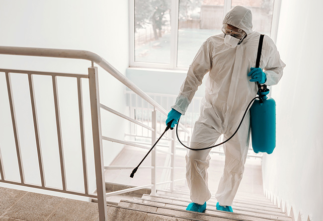 Our certified technicians have extensive training and the right equipped to protect your home and business from the hazards of COVID-19. Image of CWF team disinfecting a kitchen area.