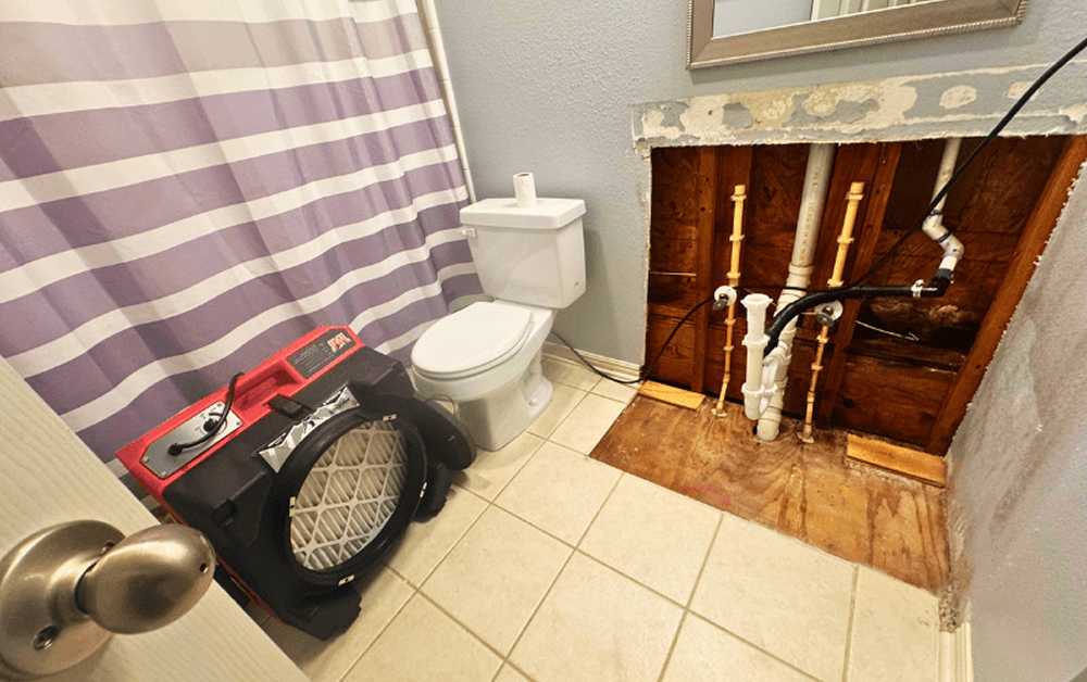 mold remediation houston tx