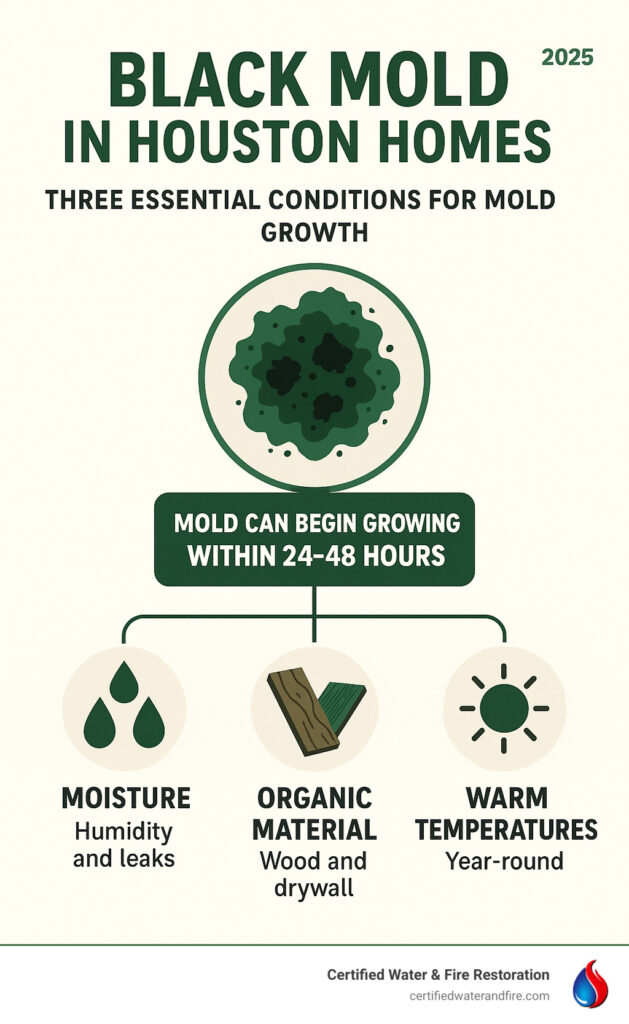 Infographic titled &ldquo;Black Mold in Houston Homes&rdquo; explains that mold can begin growing within 24&ndash;48 hours and outlines three essential conditions for mold growth: moisture from humidity and leaks, organic material such as wood and drywall, and warm temperatures present year-round in Houston, with simple icons illustrating each factor.