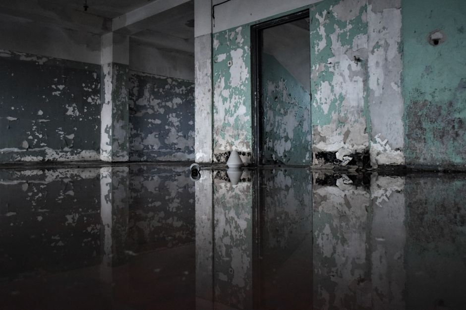 Water damage on drywall with dark mold spots